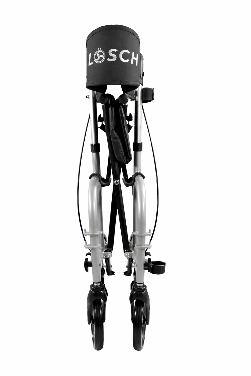 Rollstuhl-Rollator Twin 2in1